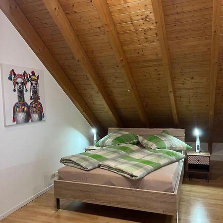 Ferienwohnung Zentral In Loerrach - Konus Gaestekarte Inklusive Dış mekan fotoğraf