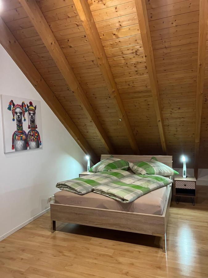 Ferienwohnung Zentral In Loerrach - Konus Gaestekarte Inklusive Dış mekan fotoğraf
